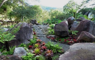 teen tok royal project, package tour ban mae kampong, 2 days tour ban mae kampong, tour ban mae kampong