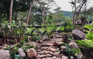 teen tok royal project, package tour ban mae kampong, 2 days tour ban mae kampong, tour ban mae kampong