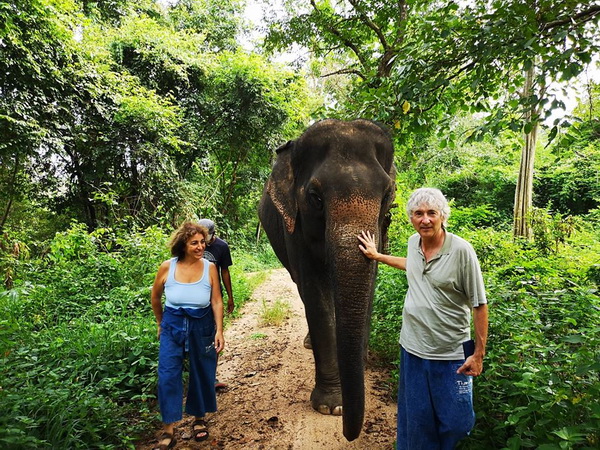 thom’s pai elephant camp, thoms pai elephant camp, thom pai elephant camp, pai elephant camp