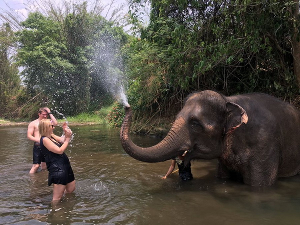 thom’s pai elephant camp, thoms pai elephant camp, thom pai elephant camp, pai elephant camp