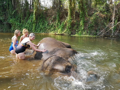 thom’s pai elephant camp, thoms pai elephant camp, thom pai elephant camp, pai elephant camp