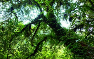 angka luang, private tour doi inthanon, doi inthanon national park, private tour doi inthanon national park, tour doi inthanon national park, inthanon national park, doi inthanon