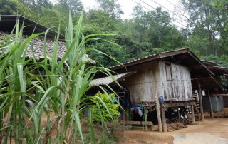 baan sobhad, baan sobhad doi inthanon, doi inthanon national park, private tour doi inthanon national park, tour doi inthanon national park, inthanon national park, doi inthanon