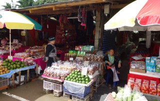 hmong market doi inthanon, doi inthanon national park, private tour doi inthanon national park, tour doi inthanon national park, inthanon national park, doi inthanon