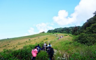 trek doi inthanon national park, trekking doi inthanon national park, trekking kiew mae pan, trekking at kew mae pan, hiking at kew mae pan