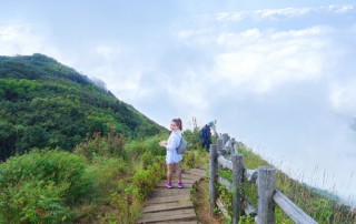trek doi inthanon national park, trekking doi inthanon national park, trekking kiew mae pan, trekking at kew mae pan, hiking at kew mae pan