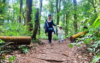 trek doi inthanon national park, trekking doi inthanon national park, trekking kiew mae pan, trekking at kew mae pan, hiking at kew mae pan