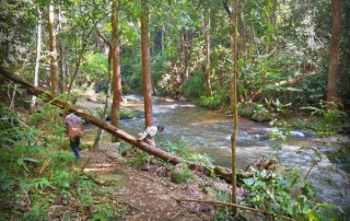 trekking at mae klang luang village, trek doi inthanon national park, trek baan mae klang luang, trek ban mae klang luang, private tour doi inthanon, doi inthanon national park, private tour doi inthanon national park, tour doi inthanon national park, inthanon national park, doi inthanon