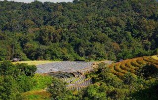 trekking at mae klang luang village, trek doi inthanon national park, trek baan mae klang luang, trek ban mae klang luang, private tour doi inthanon, doi inthanon national park, private tour doi inthanon national park, tour doi inthanon national park, inthanon national park, doi inthanon