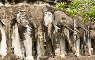 chiang mai city tour, private tour chiang mai, half day tour chiang mai, wat chiang man, wat chiang mun, chiang man temple, chiang mun temple