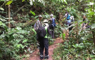 trekking in doi suthep, full day trekking chiang mai, monk trail trekking, doi suthep trek, doi suthep trekking