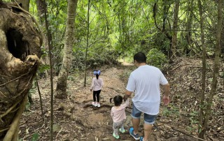trekking in doi suthep, full day trekking chiang mai, monk trail trekking, doi suthep trek, doi suthep trekking