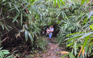 trekking in doi suthep, full day trekking chiang mai, monk trail trekking, doi suthep trek, doi suthep trekking