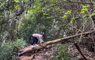half day trekking chiang mai, monk trail trekking, doi suthep trek, doi suthep trekking