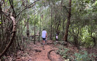 half day trekking chiang mai, monk trail trekking, doi suthep trek, doi suthep trekking