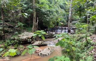 wat pha lad, pha lad temple, monk trail doi suthep