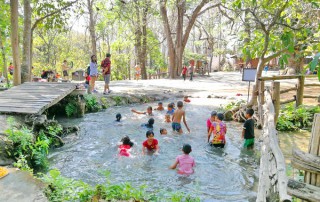 private tour chiang mai, chiang mai elephant care, elephant activities in chiang mai, tour chiang mai, bua tong waterfalls, sticky waterfalls, sticky waterfalls chiang mai