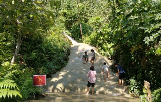 private tour chiang mai, chiang mai elephant care, elephant activities in chiang mai, tour chiang mai, bua tong waterfalls, sticky waterfalls, sticky waterfalls chiang mai