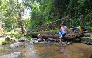 chae son national park, lampang day tour, one day tour lampang, tour to lampang, lampang tour