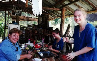 private tour chiang mai, chiang mai elephant care, elephant activities in chiang mai, tour chiang mai, bamboo rafting adventure, bamboo rafting, chiang mai bamboo rafting