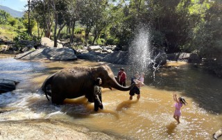private tour chiang mai, chiang mai elephant care, elephant activities in chiang mai, tour chiang mai, bamboo rafting adventure, bamboo rafting, chiang mai bamboo rafting
