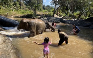 private tour chiang mai, chiang mai elephant care, elephant activities in chiang mai, tour chiang mai, bamboo rafting adventure, bamboo rafting, chiang mai bamboo rafting