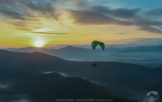 chiang mai flying paramotor, chiang mai paramotor, chiang mai paramotor adventure, paramotor adventure, flying paramotor