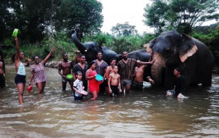 private tour chiang mai, chiang mai elephant care, elephant activities in chiang mai, tour chiang mai, bamboo rafting adventure, bamboo rafting, chiang mai bamboo rafting