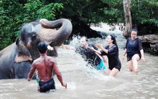 private tour chiang mai, chiang mai elephant care, elephant activities in chiang mai, tour chiang mai, bamboo rafting adventure, bamboo rafting, chiang mai bamboo rafting