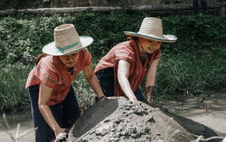 private tour chiang mai, chiang mai elephant care, elephant activities in chiang mai, tour chiang mai, mae rim elephant camp, mae rim elephant farm
