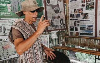 private tour chiang mai, chiang mai elephant care, elephant activities in chiang mai, tour chiang mai, mae rim elephant camp, mae rim elephant farm