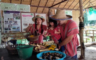 private tour chiang mai, chiang mai elephant care, elephant activities in chiang mai, tour chiang mai, mae rim elephant camp, mae rim elephant farm