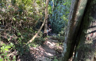 monthatan waterfalls, monthatan nature trail, doi suthep trek, trekking doi suthep, trekking in doi suthep