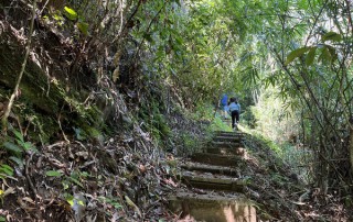 monthatan waterfalls, monthatan nature trail, doi suthep trek, trekking doi suthep, trekking in doi suthep