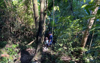 monthatan waterfalls, monthatan nature trail, doi suthep trek, trekking doi suthep, trekking in doi suthep