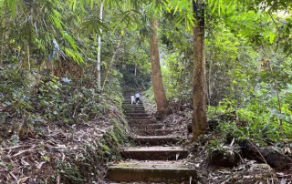 monthatan waterfalls, monthatan nature trail, doi suthep trek, trekking doi suthep, trekking in doi suthep