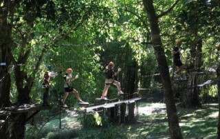 phoenix zipline adventure, phoenix zipline adventure park phoenix adventure park, phoenix zipline chiang mai