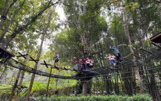 phoenix zipline adventure, phoenix zipline adventure park phoenix adventure park, phoenix zipline chiang mai