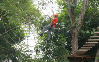 phoenix zipline adventure, phoenix zipline adventure park phoenix adventure park, phoenix zipline chiang mai