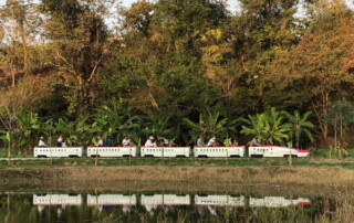 phoenix zipline adventure, phoenix zipline adventure park phoenix adventure park, phoenix zipline chiang mai