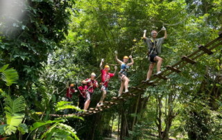 phoenix zipline adventure, phoenix zipline adventure park phoenix adventure park, phoenix zipline chiang mai