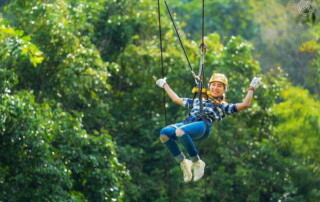 phoenix zipline adventure, phoenix zipline adventure park phoenix adventure park, phoenix zipline chiang mai