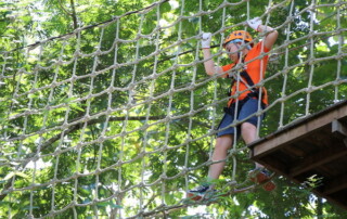 phoenix zipline adventure, phoenix zipline adventure park phoenix adventure park, phoenix zipline chiang mai