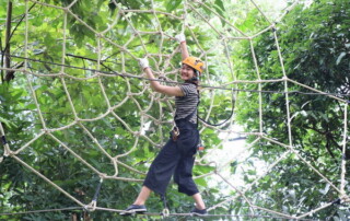 phoenix zipline adventure, phoenix zipline adventure park phoenix adventure park, phoenix zipline chiang mai