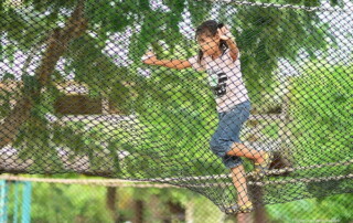 phoenix zipline adventure, phoenix zipline adventure park phoenix adventure park, phoenix zipline chiang mai