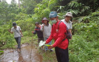 1 day chiang mai trekking chiang dao area, 1 day chiang mai trekking chiang dao, chiang mai trekking chiang dao, trekking chiang dao, trekking chiang dao wildlife sanctuary, hiking chiang dao wildlife sanctuary, hiking chiang dao