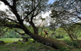 1 day chiang mai trekking chiang dao area, 1 day chiang mai trekking chiang dao, chiang mai trekking chiang dao, trekking chiang dao, trekking chiang dao wildlife sanctuary, hiking chiang dao wildlife sanctuary, hiking chiang dao