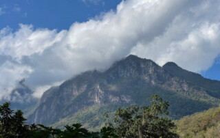 1 day chiang mai trekking chiang dao area, 1 day chiang mai trekking chiang dao, chiang mai trekking chiang dao, trekking chiang dao, trekking chiang dao wildlife sanctuary, hiking chiang dao wildlife sanctuary, hiking chiang dao