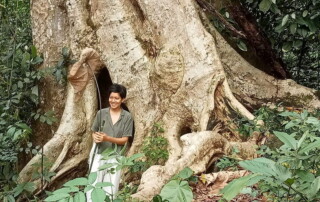 1 day chiang mai trekking chiang dao area, 1 day chiang mai trekking chiang dao, chiang mai trekking chiang dao, trekking chiang dao, trekking chiang dao wildlife sanctuary, hiking chiang dao wildlife sanctuary, hiking chiang dao