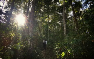 1 day chiang mai trekking chiang dao area, 1 day chiang mai trekking chiang dao, chiang mai trekking chiang dao, trekking chiang dao, trekking chiang dao wildlife sanctuary, hiking chiang dao wildlife sanctuary, hiking chiang dao
